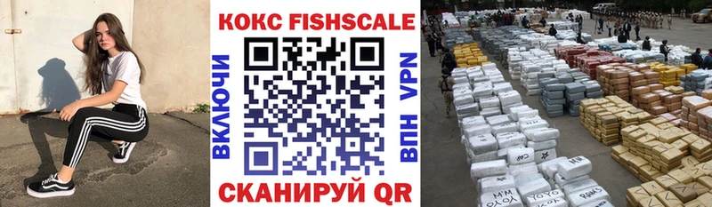 Купить закладки  Сенгилей  COCAIN 99% 