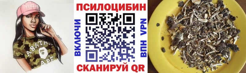 Купить где  Сенгилей  Галлюциногенные грибы прущие грибы 